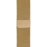 Apple Tag - Silvertag Shop